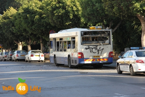 7affleea 0103 (3).JPG